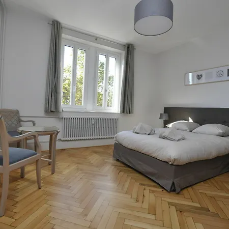 Appartement Residences Du Theatre Colmar