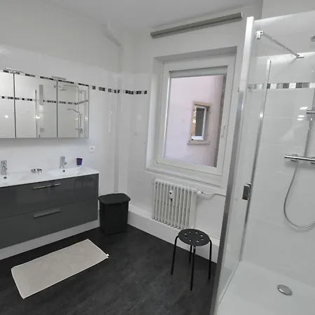 Appartement Residences Du Theatre Colmar