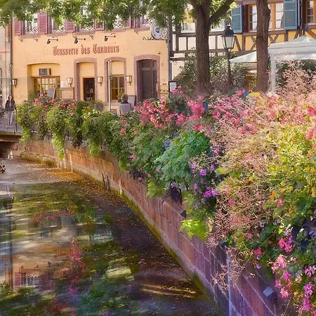 Residences Du Theatre * Colmar